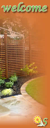Welcome to Staffsmoor Plants - an image of one of our garden designs